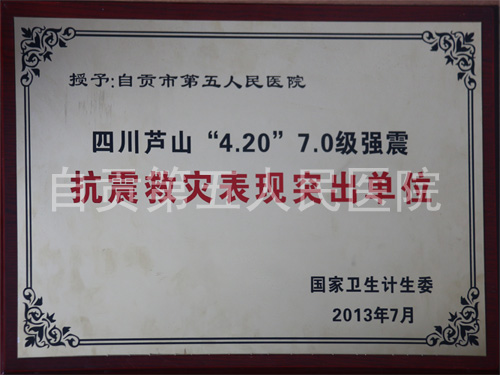 四川蘆山“4.20”7.0級強震抗震救災(zāi)表現(xiàn)突出單位